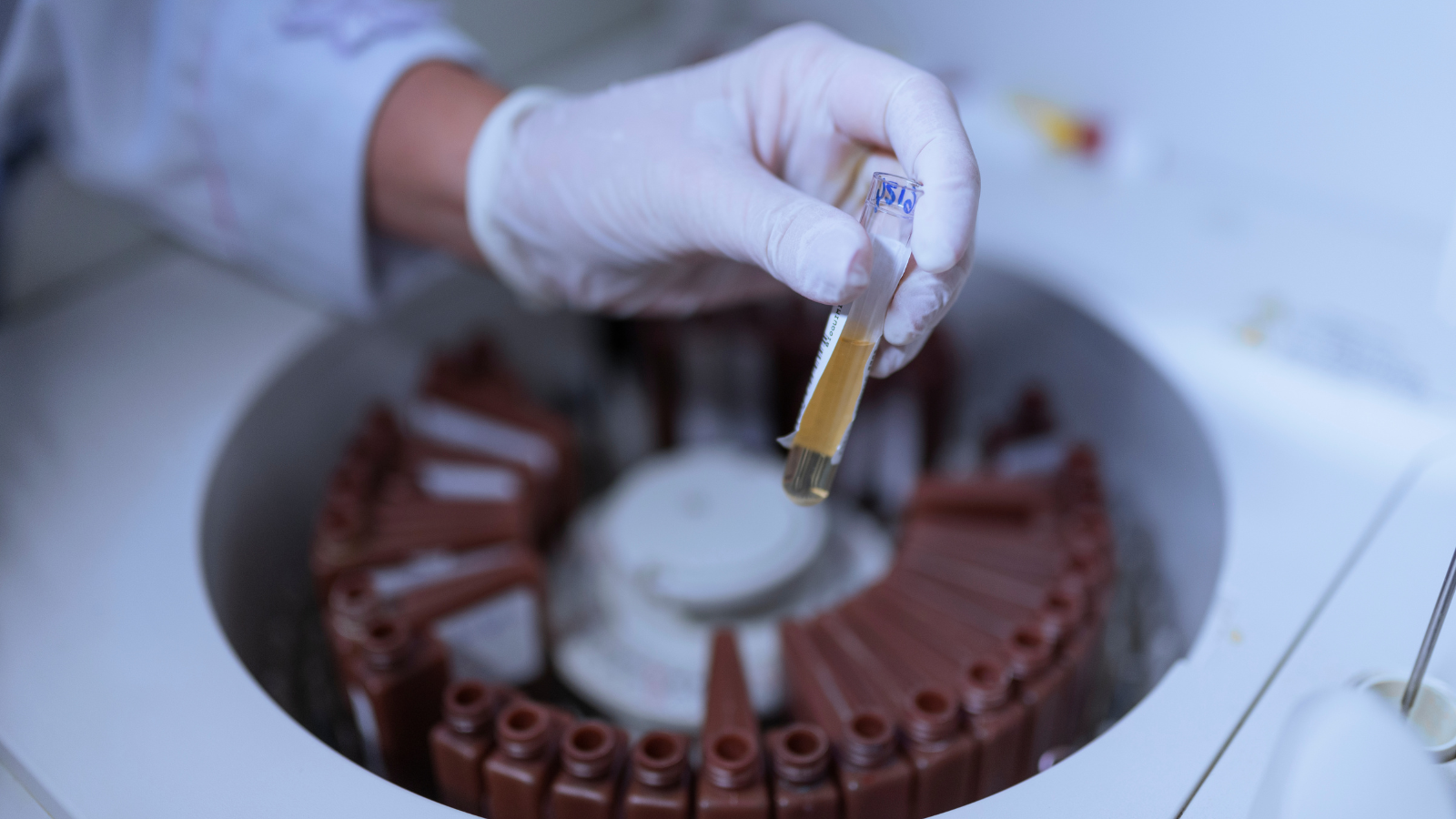 Process Validation