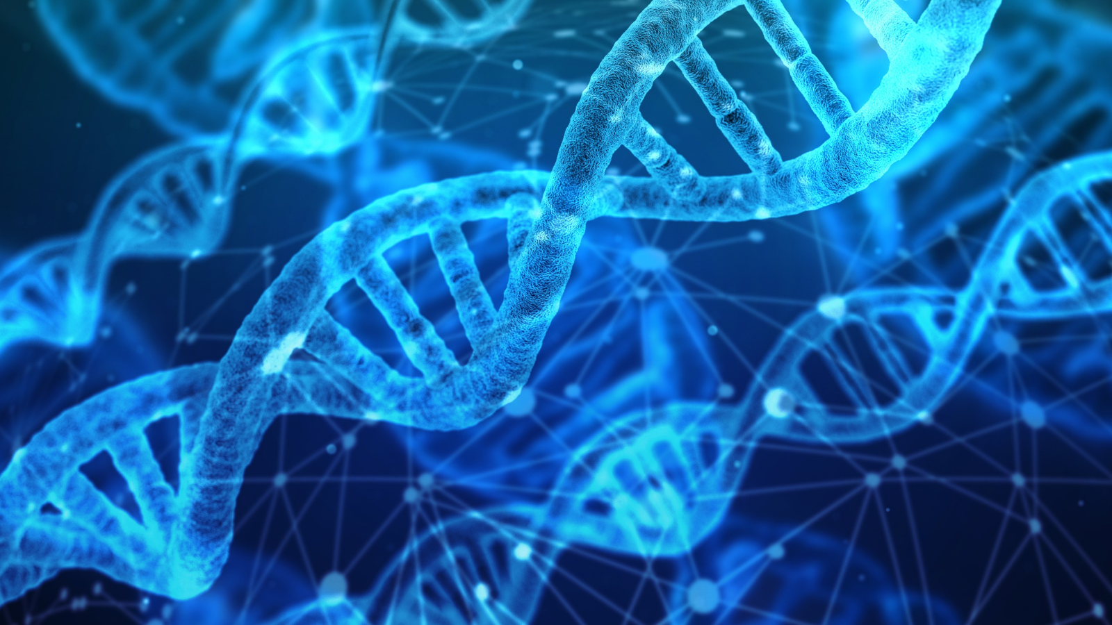DNA strand
